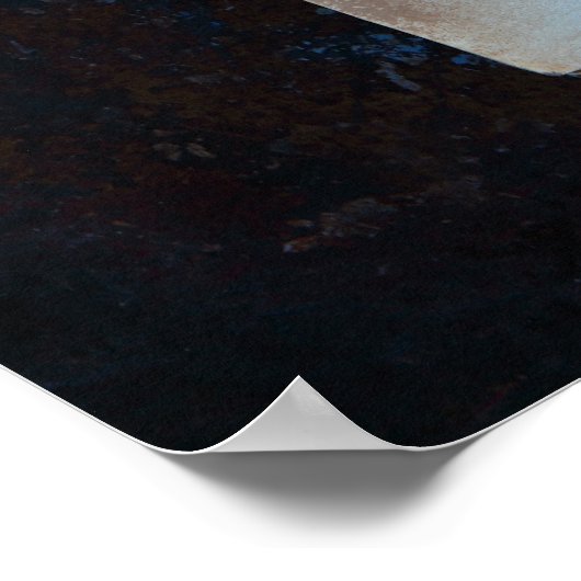 Alte Buchseiten mit Eukalyptus-Blätter Poster (Ecke)