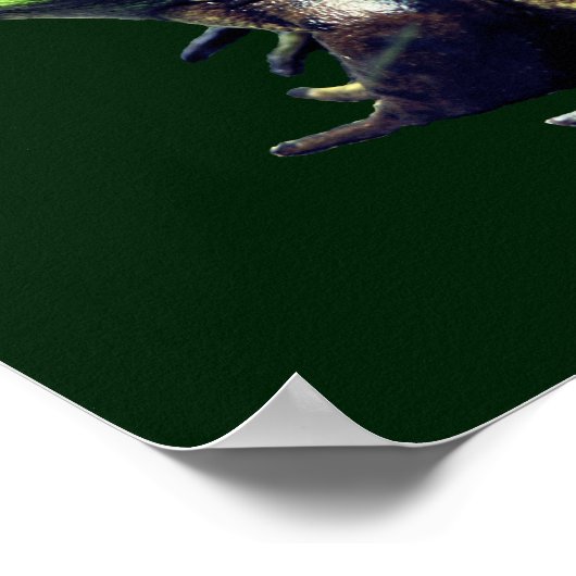 Alte Bullfrognatur Poster (Ecke)