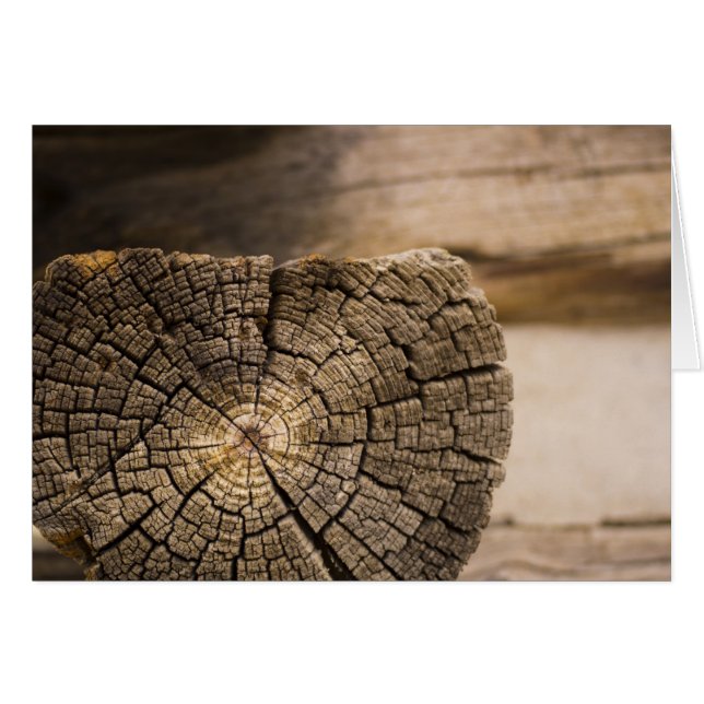 Alte Cabin Textures (Vorderseite (Horizontal))