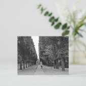 Alte Dame, die im Sommer im Pariser Park spaziert Postkarte (Stehend Vorderseite)