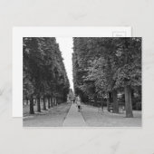 Alte Dame, die im Sommer im Pariser Park spaziert Postkarte (Vorne/Hinten)