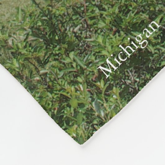 Alte Decke der Presque Isle Leuchtturm (Ecke)