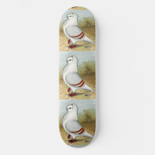 Alte Deutsche Eukalaube Stehend groß Skateboard