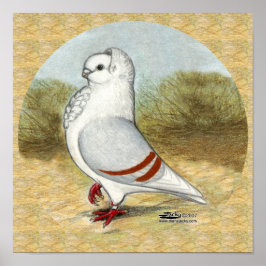 Alte deutsche Eukalyptbe in der Runde Poster