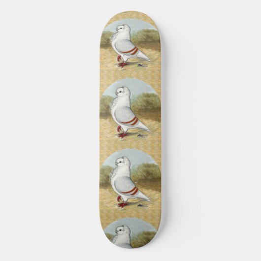 Alte deutsche Eukalyptbe in der Runde Skateboard (Vorderseite)