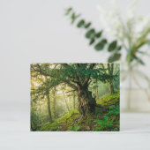 Alte Eibe mit roten Waldbeeren Postkarte (Stehend Vorderseite)