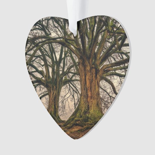Alte Eiche im Winter Ornament (Vorderseite)