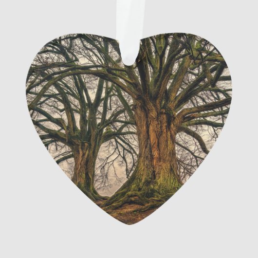 Alte Eiche im Winter Ornament (Rückseite)