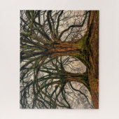 Alte Eiche im Winter Puzzle (Vertikal)