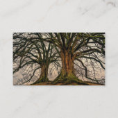 Alte Eiche im Winter Visitenkarte (Rückseite)
