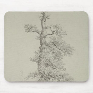 Alte Eiche mit dem Nest eines Storchs Mousepad