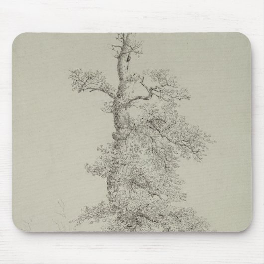 Alte Eiche mit dem Nest eines Storchs Mousepad (Vorne)