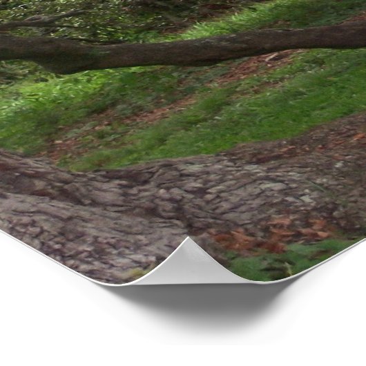 Alte Eiche Poster (Ecke)