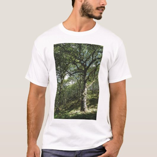 Alte Eichen T-Shirt (Vorderseite)