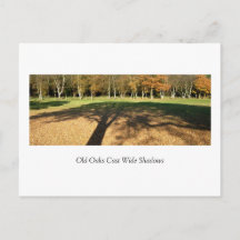 Alte Eichen werfen weite Schatten