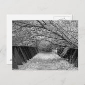 Alte Eisenbahnbrücke Postkarte (Vorne/Hinten)