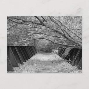 Alte Eisenbahnbrücke Postkarte