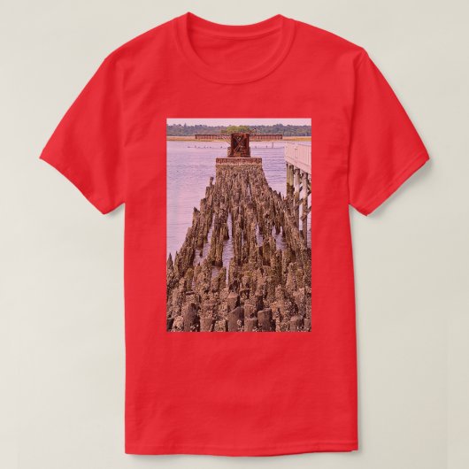 Alte Eisenbahnlinie Trestle Wallfahrtskirche T-Shirt (Design vorne)