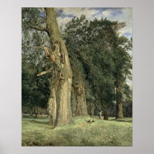 Alte Elmen in Prater, 1831 Poster