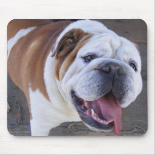 Alte englische Bulldogge Mousepad