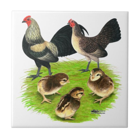 Alte englische kleine Brassy-Rückseiten-Familie Fliese (Vorderseite)