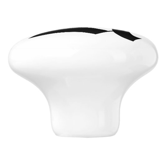 Alte englische mit Monogramm Fach-Griffe Keramikknauf (Seitenansicht)