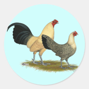 Alte englische Sahnebutterblumeen Runder Aufkleber