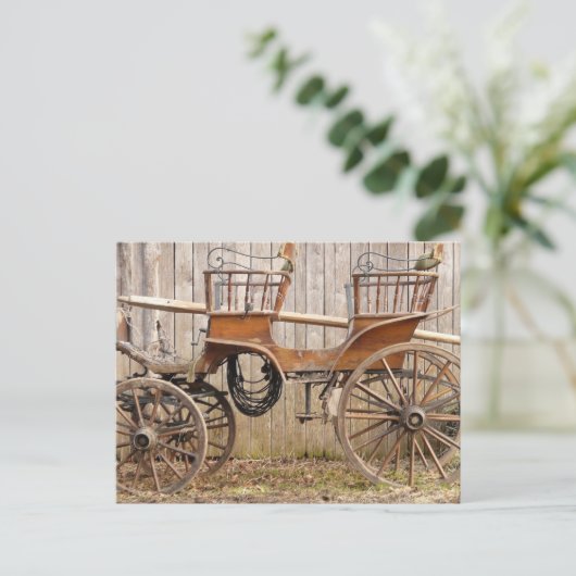 Alte Extravagante Pferdelehrer-Buggy Postkarte (Stehend Vorderseite)