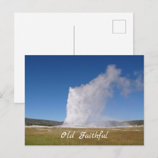 Alte feine Postkarte (Vorne/Hinten)