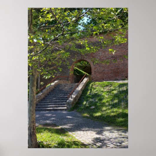 alte Festungsmauer Poster (Vorne)