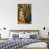 Alte Fichtenbaum stehend stolz Leinwanddruck (Insitu (Schlafzimmer))