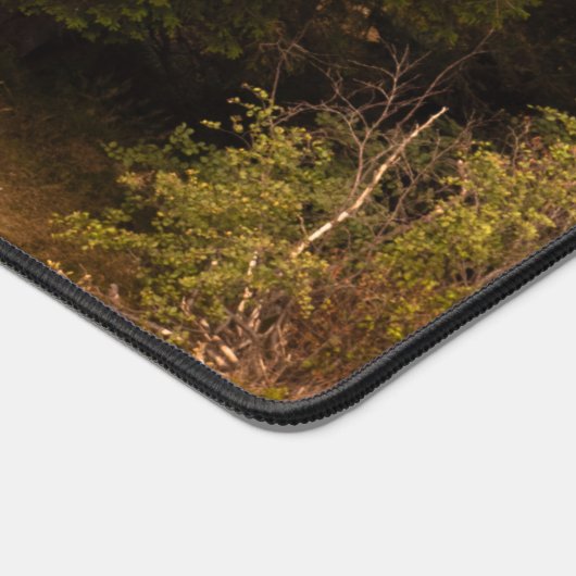 Alte Fichtenbaum stehend stolz Schreibtischunterlage (Ecke)