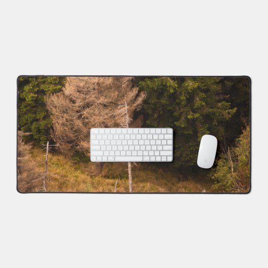 Alte Fichtenbaum stehend stolz Schreibtischunterlage (Tastatur & Maus)