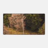 Alte Fichtenbaum stehend stolz Schreibtischunterlage (Vorderseite)