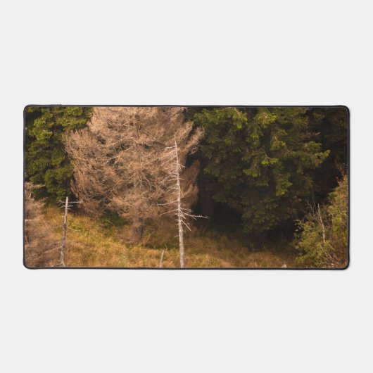 Alte Fichtenbaum stehend stolz Schreibtischunterlage (Vorderseite)