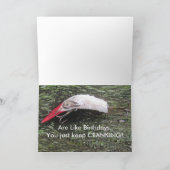 Alte Fische - Geburtstagskarte Karte (Innenseite)