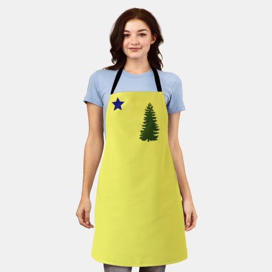 alte Flagge beibehalten (1901) Schürze (Getragen)