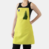 alte Flagge beibehalten (1901) Schürze (InSitu)