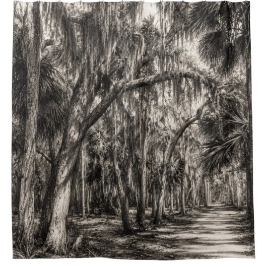 Alte Florida-Eiche-Hammock Graphit-Skizze | Rockle Duschvorhang (Vorderseite)