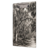 Alte Florida-Eiche-Hammock Graphit-Skizze | Rockle Klemmbrett (Links)