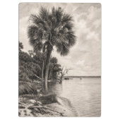 Alte Florida-Eiche-Hammock Graphit-Skizze | Rockle Klemmbrett (Rückseite)