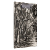 Alte Florida-Eiche-Hammock Graphit-Skizze | Rockle Klemmbrett (Rechts)