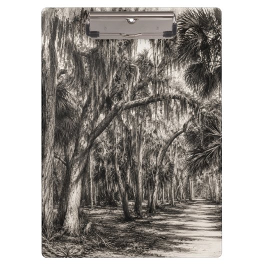 Alte Florida-Eiche-Hammock Graphit-Skizze | Rockle Klemmbrett (Vorderseite)