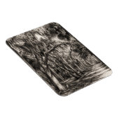 Alte Florida-Eiche-Hammock Graphit-Skizze | Rockle Magnet (Rechte Seite)