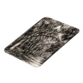 Alte Florida-Eiche-Hammock Graphit-Skizze | Rockle Magnet (Linke Seite)
