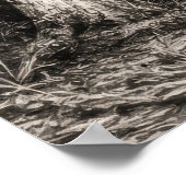 Alte Florida-Eiche-Hammock Graphit-Skizze | Rockle Poster (Ecke)