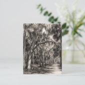 Alte Florida-Eiche-Hammock Graphit-Skizze | Rockle Postkarte (Stehend Vorderseite)