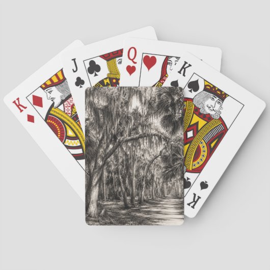 Alte Florida-Eiche-Hammock Graphit-Skizze | Rockle Spielkarten (Rückseite)