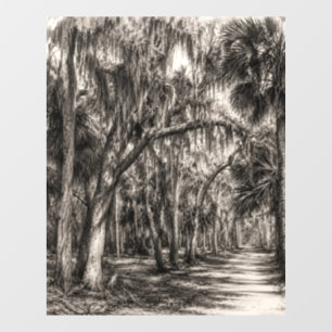 Alte Florida-Eichenhammock-Graphit-Skizze Rockle Fensteraufkleber