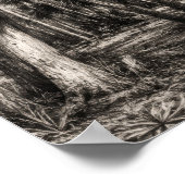 Alte Florida-Eichenhammock-Graphit-Skizze | Rockle Poster (Ecke)